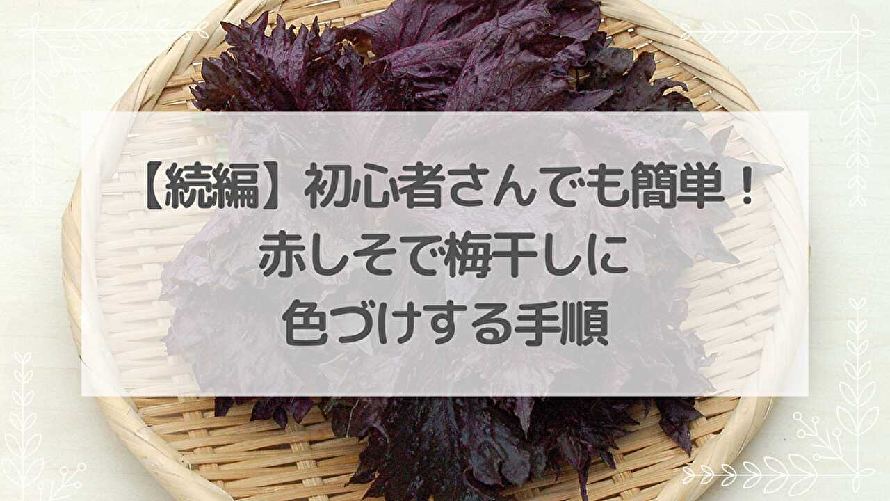 赤紫蘇　赤しそ　梅干し
